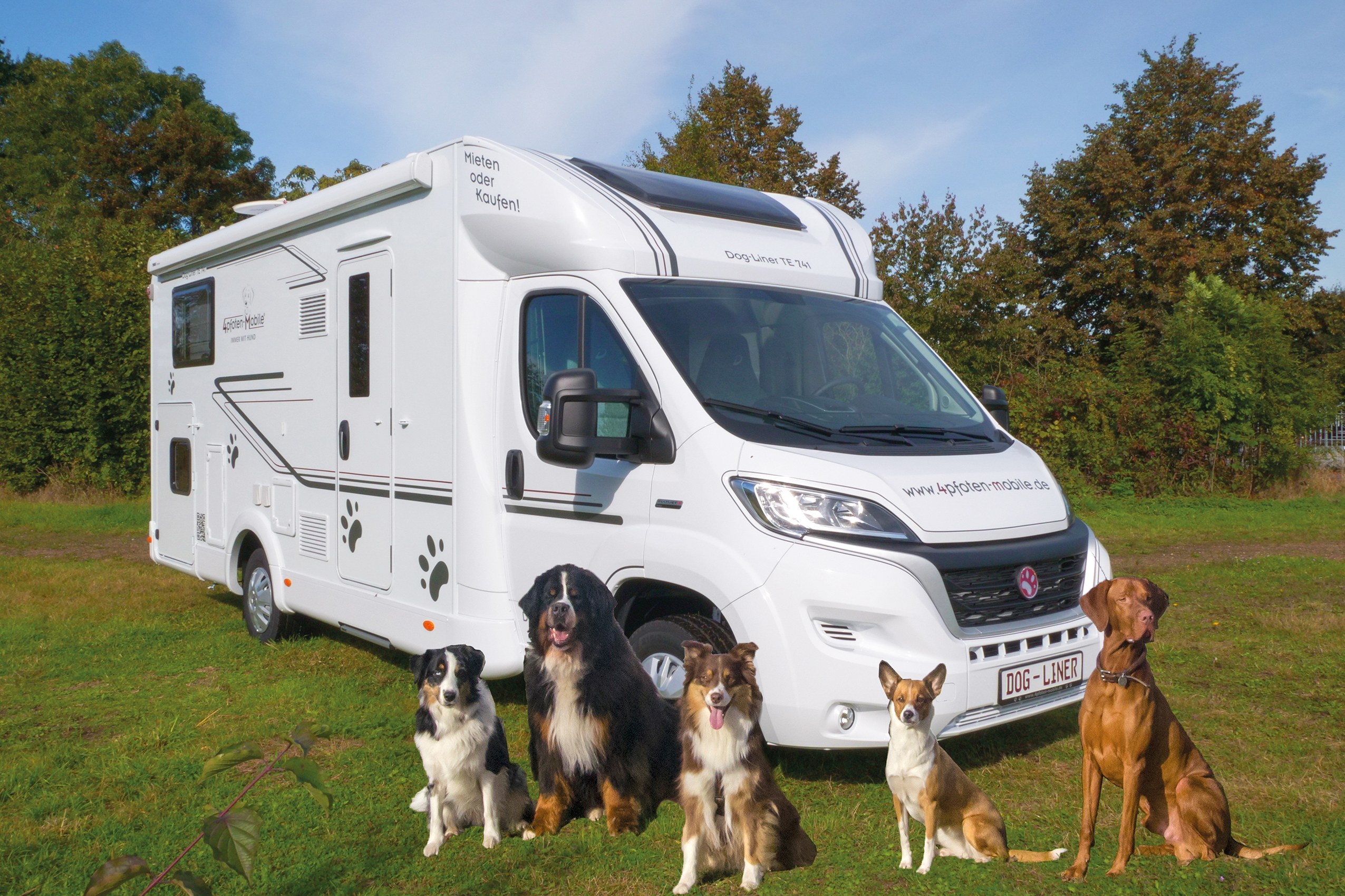 Dog-Liner TE 741