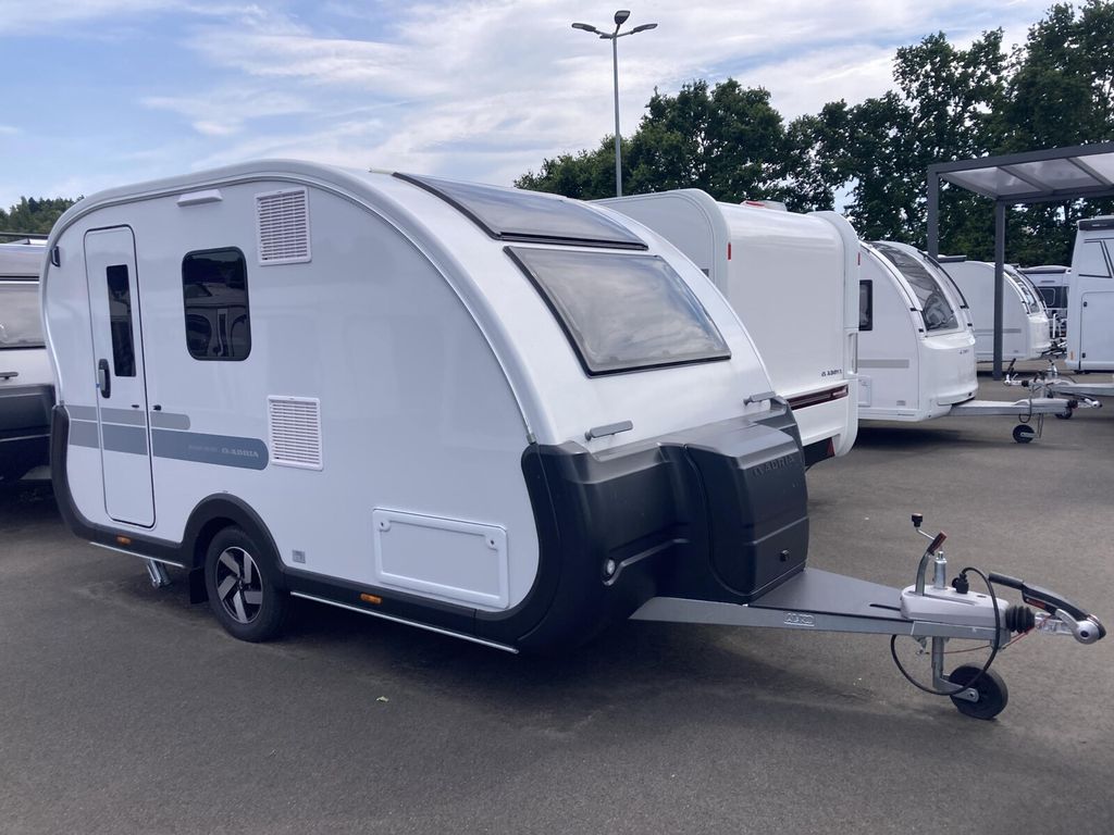 ADRIA Action 391 PD
